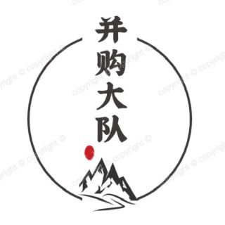 并購(gòu)大隊(duì)